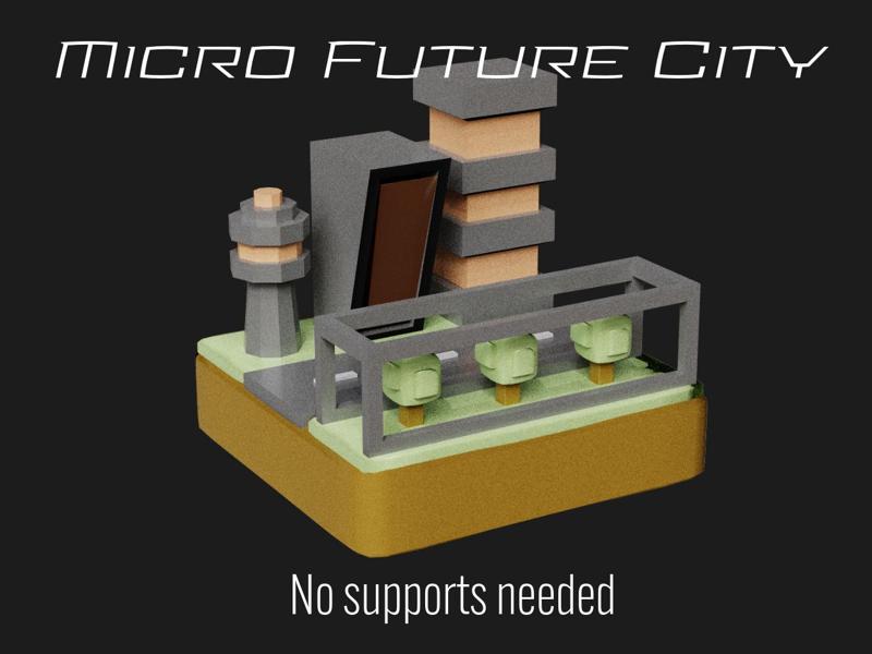 Micro Future City