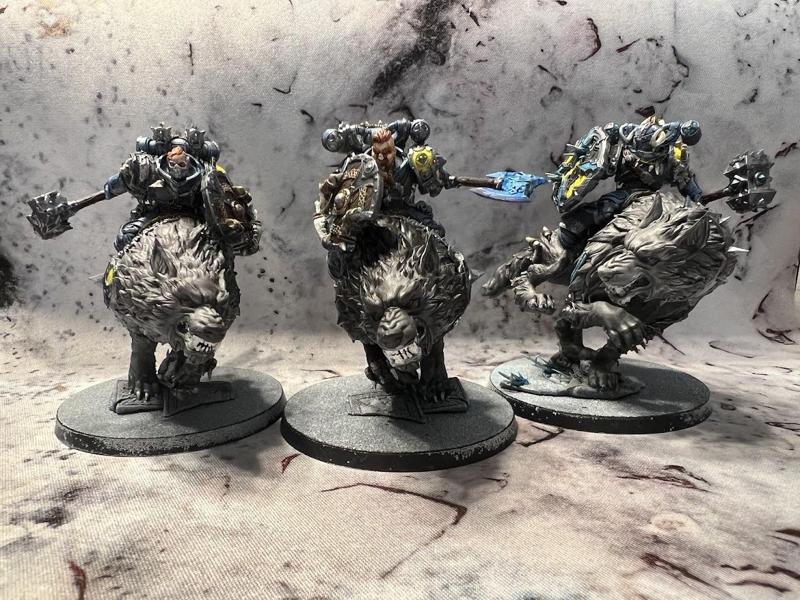 Star Vikings Wolf Tamers