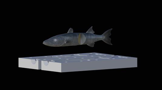 AM bait great barracuda fish 13cm breaking form for predator fishing