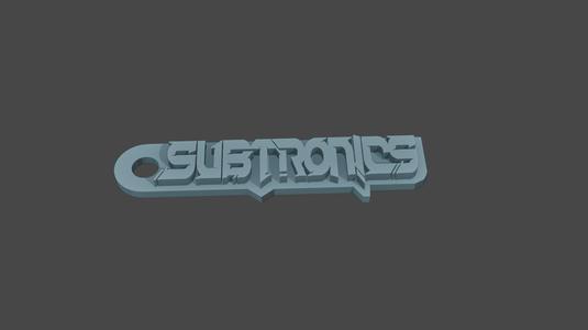 Subtronics keychain