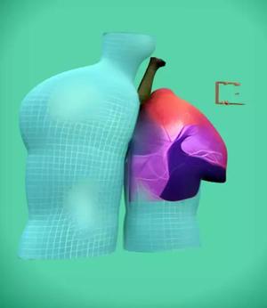hard 3d modal
