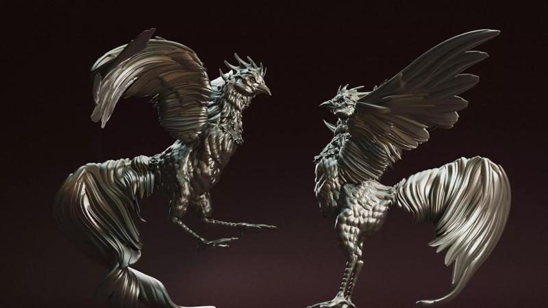 ROOSTER FIGHTING