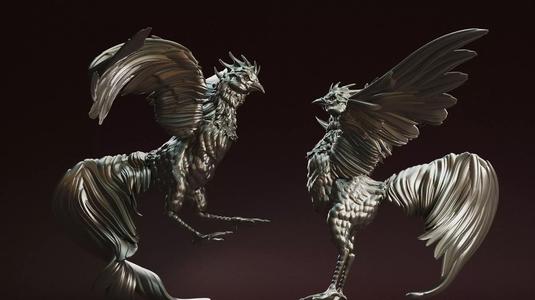 ROOSTER FIGHTING