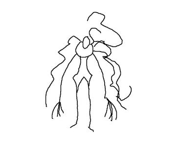tall guy