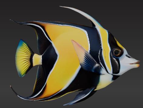 Wild Life Collection - Moorish Idol Fish