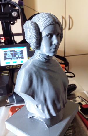 Leia for 3d printing