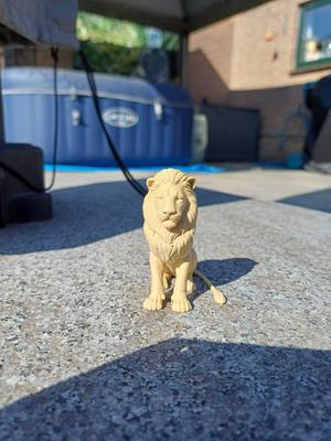 Regal Lion – King of the Jungle