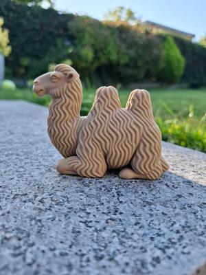 Chill Bactrian Camel – Cute Desert Buddy