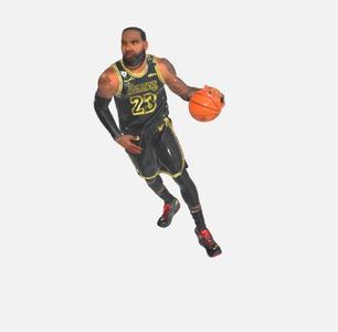 LeBron James - Figure