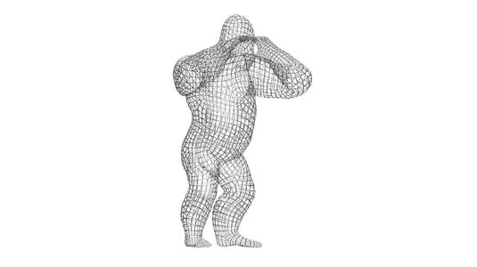 Orangutan Wireframe