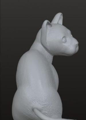 Sitting Cat