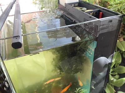 DIYPer Aquarium Filter System - 20cm Version