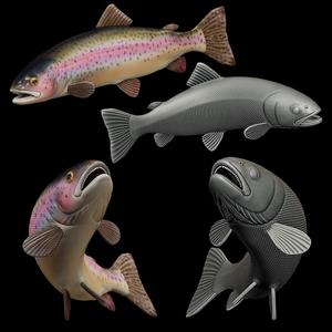 rainbow trout / Oncorhynchus mykiss open mouth in motion fish model for 3D printing
