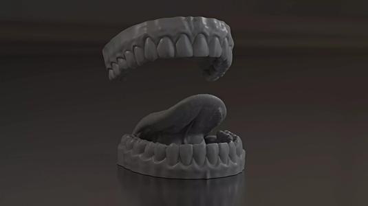 Dental Anatomy