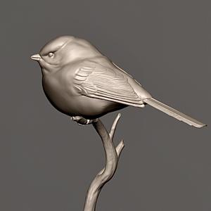 chickadee bird