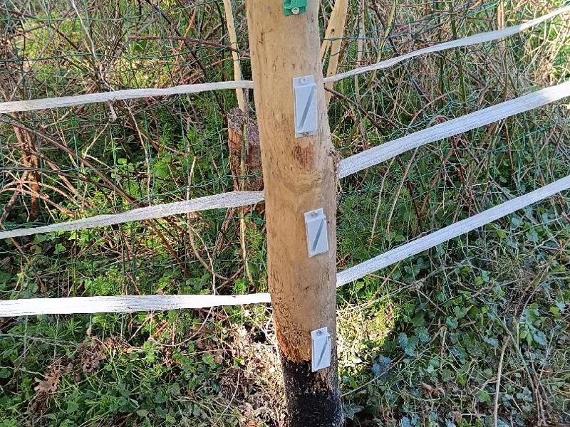 Electric Fence Tape Insulator Screw-On Holder 