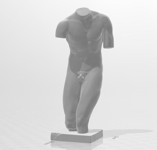 TORSO VALENTINI - TORSO MAN