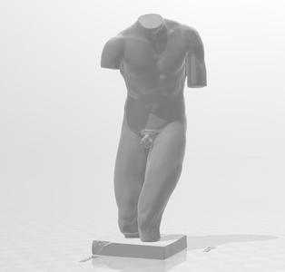 TORSO VALENTINI - TORSO MAN