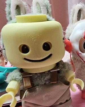 Lego Labubu Costume