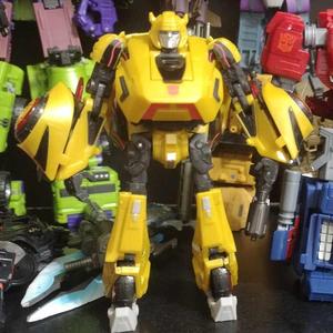 2010 WFC Bumblebee foot
