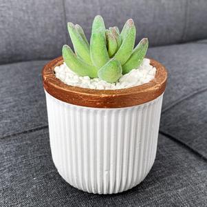 Minimalist planter pot mold