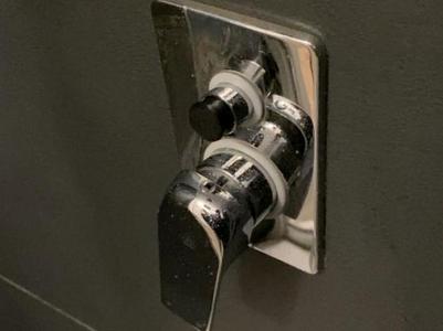 Selector for shower mixer