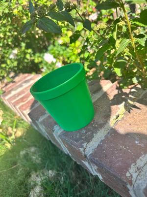 Flower Pot