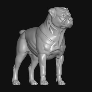 rottweiler dog