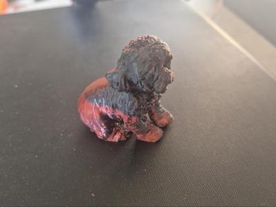 toy poodle