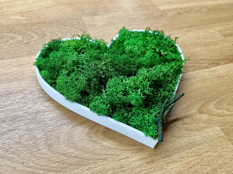 Green moss heart