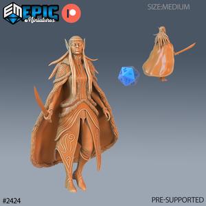 Fey Elf Winter Sword ‧ DnD Miniature ‧ Tabletop Miniatures ‧ Gaming Monster ‧ 3D Model ‧ RPG ‧ DnDminis ‧ STL FILE