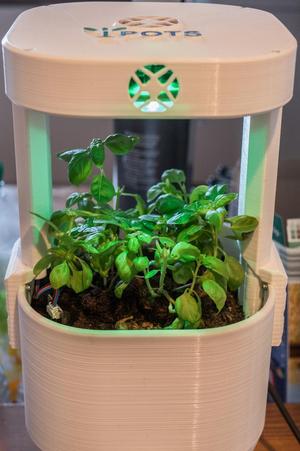 I Pots Sefl Wathering and growing pots