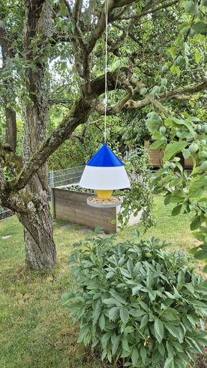 Birdfeeder/Vogelfutterhaus