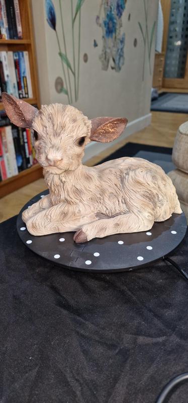Lamb