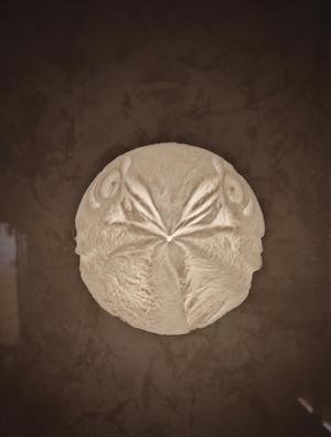 Falcon head fridge magnet lithophane