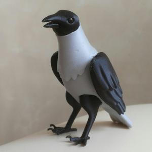 Crow BJD