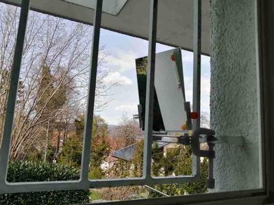Spy Mirror Arm