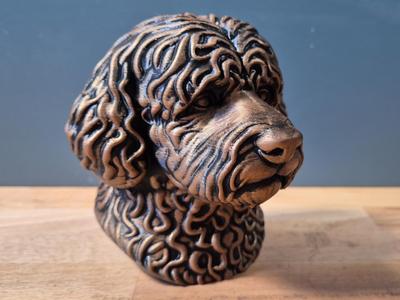 Portuguese Water Dog Bust