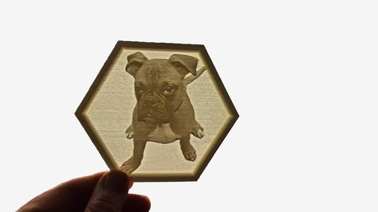 Boxer - lithophane