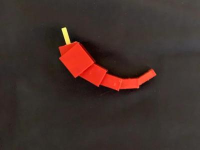 Pepper from Grow a Garden (Roblox) – Fun 3D Print