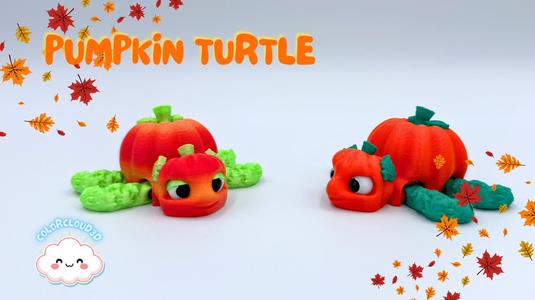 Pumpkin Turtle