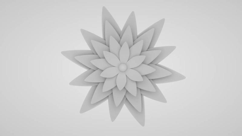 Blooming Flower 10