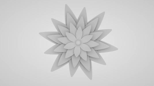Blooming Flower 10