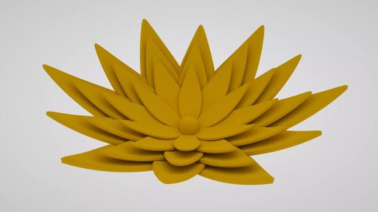Blooming Flower11