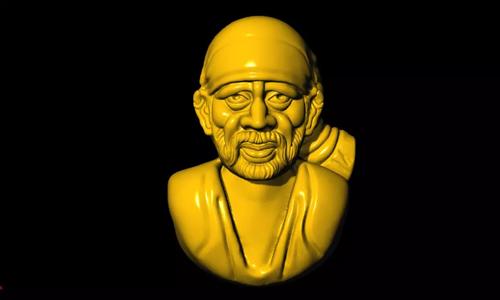 sai 3d model