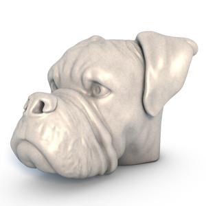 Boxer Dog Head