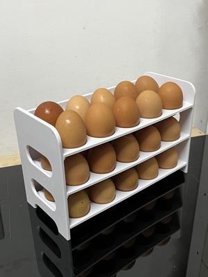 30 - Smart Egg Dispenser / Storage