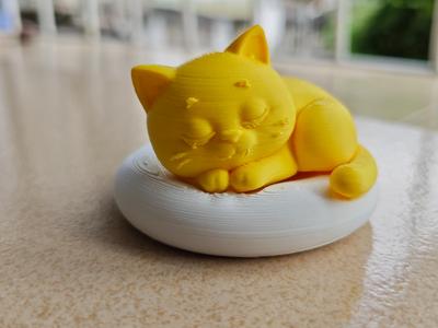 Sleeping Cat