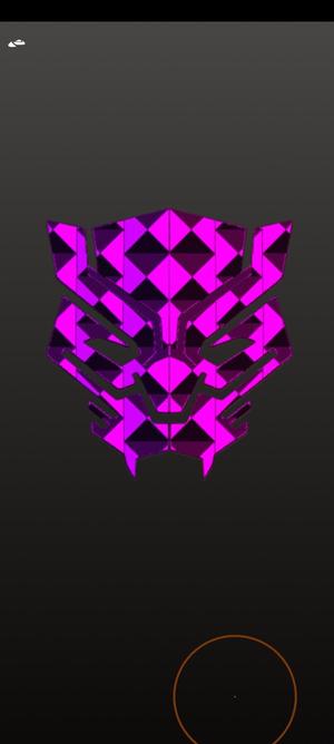 Black Panther, Decoration