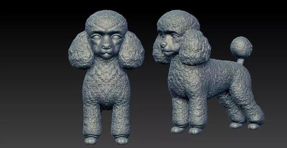 Toy Poodle Dog - Poodle Dog - 3D print